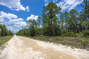 NE 150TH CT, WILLISTON, FL 32696 Sold 07/24/25