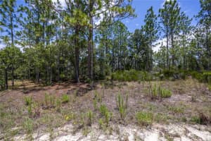 NE 150TH CT, WILLISTON, FL 32696 Sold 07/24/25