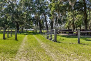 4639 WILSON SPRINGS ROAD, FORT WHITE, FL 32038 - MLS#MFRGC531772