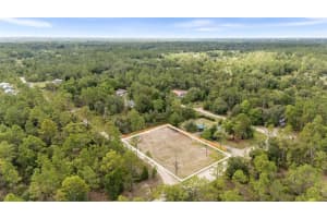 NE 132ND CT, WILLISTON, FL 32696 Sold 08/04/25