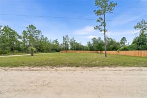 NE 132ND CT, WILLISTON, FL 32696 Sold 08/04/25