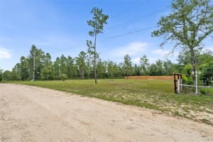NE 132ND CT, WILLISTON, FL 32696 Sold 08/04/25