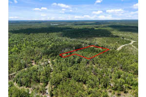 2309 73RD AVENUE, GAINESVILLE, FL 32609 - MLS#MFRGC531833
