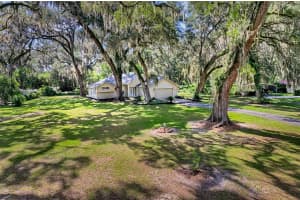6505 135TH PLACE, ARCHER, FL 32618 - MLS#MFRGC531928