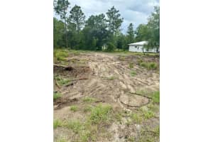 TBD 151ST TERRACE, WILLISTON, FL 32696 - MLS#MFRGC532082