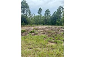 TBD 151ST TERRACE, WILLISTON, FL 32696 - MLS#MFRGC532082