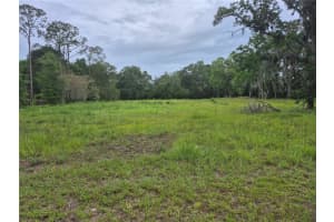 1224 143RD STREET, NEWBERRY, FL 32669 - MLS#MFRGC532160