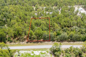 MLS# MFRGC532199, Dunnellon, Florida 34431