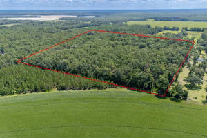 8289 Ne Highway 349, OLD TOWN