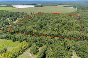 8289 NE HIGHWAY 349, OLD TOWN, FL 32680 - MLS#MFRGC532270