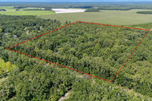 8289 NE HIGHWAY 349, OLD TOWN, FL 32680 - MLS#MFRGC532270