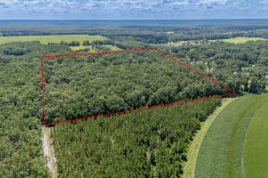 8289 NE HIGHWAY 349, OLD TOWN, FL 32680 - MLS#MFRGC532270