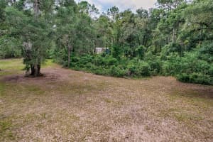 4214 290TH STREET, NEWBERRY, FL 32669 Sold 09/03/25