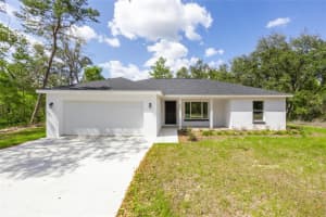 445 Malauka Loop, OCKLAWAHA