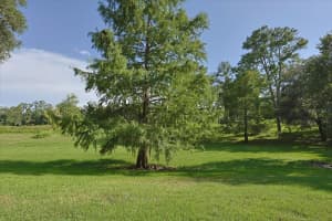 2710 105TH DRIVE, GAINESVILLE, FL 32606 - MLS#MFRGC532629