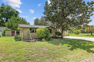5650 189TH STREET, REDDICK, FL 32686 - MLS#MFRGC532634