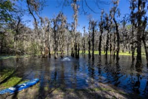 6030 24TH LANE, GAINESVILLE, FL 32606 - MLS#MFRGC532662
