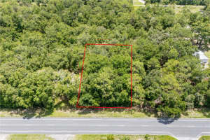 000 NE STATE ROAD 121, WILLISTON, FL 32696 - MLS#MFRGC532727