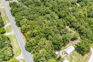 000 NE STATE ROAD 121, WILLISTON, FL 32696 - MLS#MFRGC532727