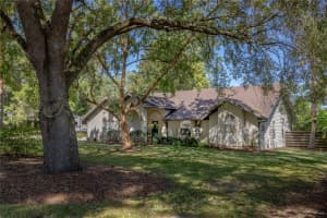 10026 24TH PLACE, GAINESVILLE, FL 32606 - MLS#MFRGC532818