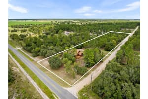 50 131ST TERRACE, WILLISTON, FL 32696 - MLS#MFRGC532820