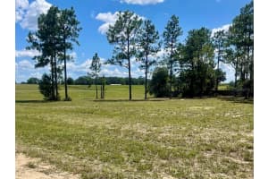 NE 137TH AVE, WILLISTON, FL 32696 Sold 08/22/25