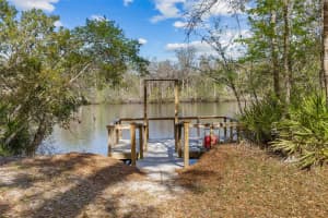 4250 81ST LANE, BELL, FL 32619 - MLS#MFRGC533232