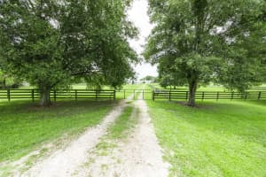 13009 123RD PLACE, ALACHUA, FL 32615 - MLS#MFRGC533303