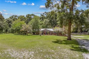 18831 13TH AVENUE, NEWBERRY, FL 32669 - MLS#MFRGC533334