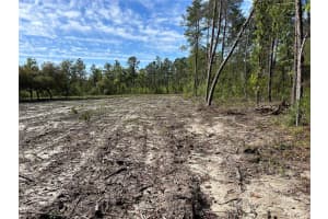4298 179 PLACE, OCALA, FL 34473 - MLS#MFRGC533472