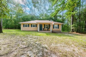 308 W Hillsborough Ave, FLORAHOME