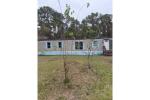 23216 35TH AVENUE, MELROSE, FL 32666 - MLS#MFRGC533542