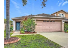 12624 Evington Point Dr, RIVERVIEW