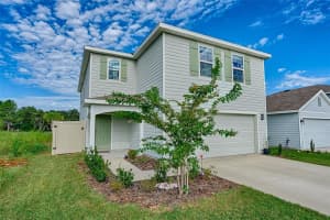 1100 248TH DRIVE, NEWBERRY, FL 32669 - MLS#MFRGC533781