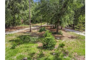 3749 22ND PLACE, BELL, FL 32619 - MLS#MFRGC533882