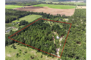 3749 22ND PLACE, BELL, FL 32619 - MLS#MFRGC533882