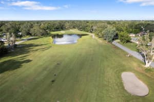1420 BOGIE DRIVE, TAMPA, FL 33612 - MLS#MFRGC534000