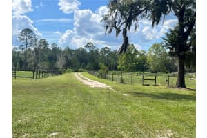 17411 NE COUNTY ROAD 1471, WALDO, FL 32694 - MLS#MFRGC534024