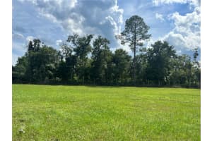 17411 NE COUNTY ROAD 1471, WALDO, FL 32694 - MLS#MFRGC534024