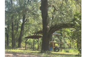 6729 254TH AVENUE, ALACHUA, FL 32615 Sold 10/14/25