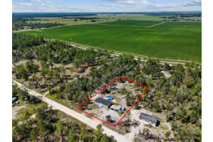 13411 21ST PLACE, MORRISTON, FL 32668 - MLS#MFRGC534258