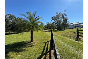 TBD 185 AVENUE, WILLISTON, FL 32696 - MLS#MFRGC534269