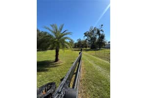 TBD 185 AVENUE, WILLISTON, FL 32696 - MLS#MFRGC534269