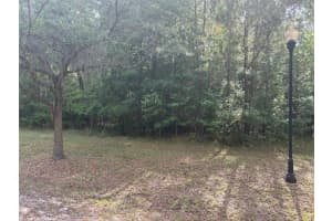 5946 88TH WAY, GAINESVILLE, FL 32653 - MLS#MFRGC534286
