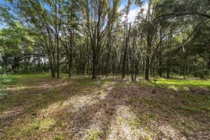 22936 53RD LANE, NEWBERRY, FL 32669 Sold 11/21/25