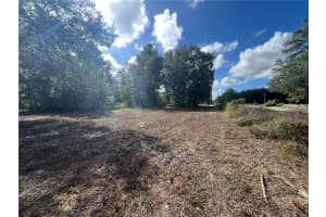 3521 NE COUNTY ROAD 219A, MELROSE, FL 32666 - MLS#MFRGC534614