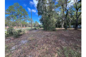 3521 NE COUNTY ROAD 219A, MELROSE, FL 32666 - MLS#MFRGC534614