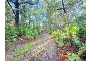 7324 152 PLACE, ALACHUA, FL 32615 - MLS#MFRGC534615