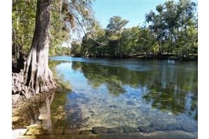 563 LONGHORN TERRACE, FORT WHITE, FL 32038 - MLS#MFRGC534630