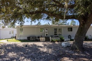 11071 78TH TERRACE, BRONSON, FL 32621 - MLS#MFRGC534636